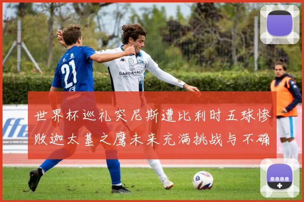 世界杯巡礼突尼斯遭比利时五球惨败迦太基之鹰未来充满挑战与不确定性